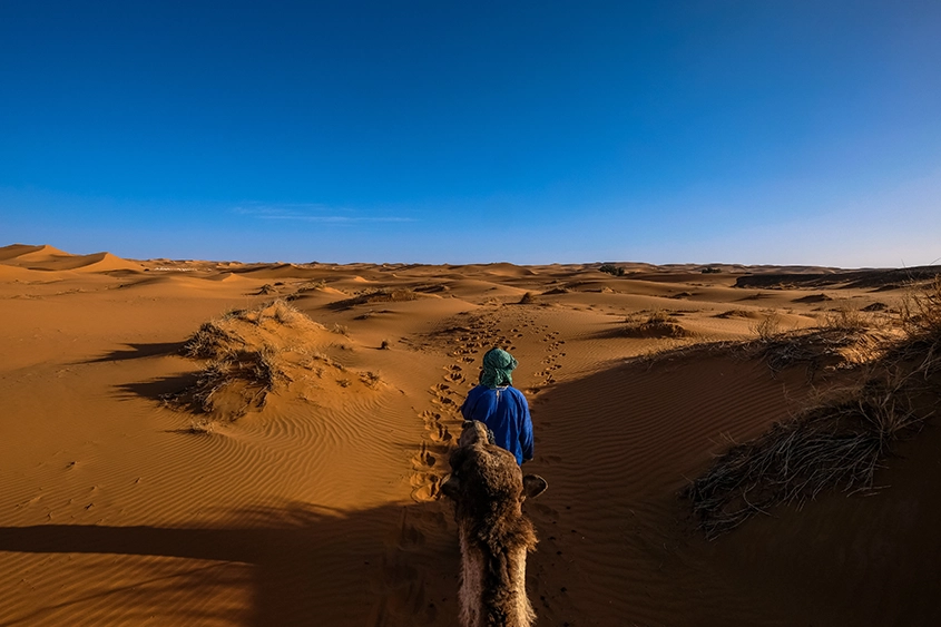 desierto marroquí